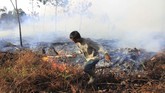 Sulitnya mendapatkan sumber air di sekitar lokasi kebakaran karena beberapa desa di daerah ini mengalami kekeringan menjadi kendala bagi petugas untuk memadamkan api. (ANTARA FOTO/Syifa Yulinnas)