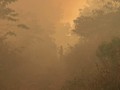 Hutan Gunung Panderman Terbakar, Api Dicegah Tak Sampai Desa