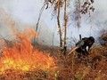 Kirim Cessna, BNPB Ingin Efisien Pantau Karhutla Sumsel