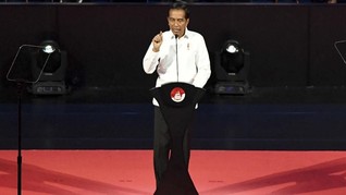 Jokowi Obral Insentif Investasi Pertanian dan Peternakan