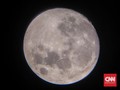 NASA Bakal Kirim Robot Pencari Air di Bulan pada 2022