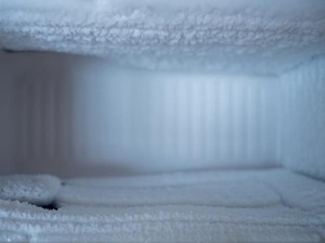 5 Trik Mencairkan Bunga Es Freezer yang Cepat dan Aman, Pernah Coba?