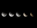 Waktu Puncak Gerhana Bulan Penumbra Januari 2020