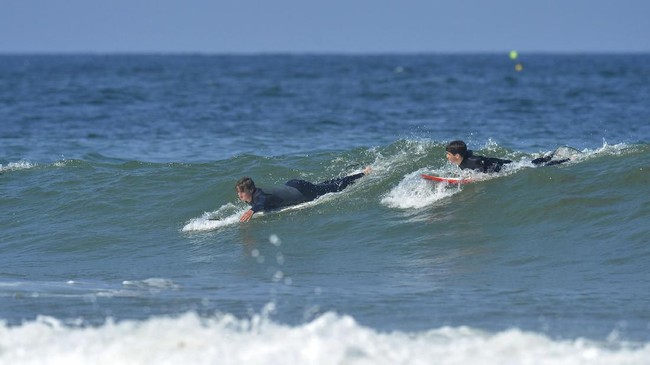 84 Koleksi Gambar Ikan Hiu Putih HD Terbaik