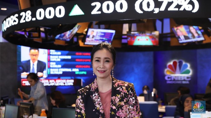 Direktur Konsumer PT.Bank BRI Handayani (CNBC Indonesia/Muhammad Sabki) Direktur Konsumer PT.Bank BRI Handayani (CNBC Indonesia/Muhammad Sabki)