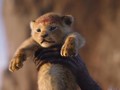 VIDEO: Wajah Baru 'The Lion King' di Bioskop Setelah 25 Tahun