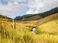Genjot Pariwisata, Sri Lanka Gratiskan Visa untuk 48 Negara