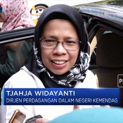 Pemerintah Godok Aturan Pelapak Asing di E-Commerce