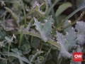 Suhu 9 Derajat Celsius, Embun Membeku di Kabupaten Bandung