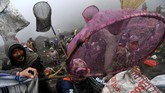 Sejumlah warga berebut sesajen yang dilarung oleh masyarakat suku Tengger di kawah Gunung Bromo pada Upacara Yadnya Kasada, Probolinggo, Jawa Timur, Kamis (18/7). (ANTARA FOTO/Zabur Karuru)