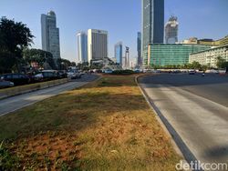 Bambu Getah Getih Dibongkar, Begini Suasana di Bundaran HI Saat Ini Bambu Getah Getih Dibongkar, Begini Suasana di Bundaran HI Saat Ini