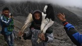 Masyarakat suku Tengger menggendong kambing untuk dilarung ke kawah Gunung Bromo pada Upacara Yadnya Kasada, Probolinggo, Jawa Timur, Kamis (18/7). (ANTARA FOTO/Zabur Karuru)