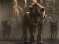 Box Office Korea Pekan Ini, 'Lion King' Masih 'Mengaum'