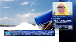 Rumitnya Permasalahan Garam Industri