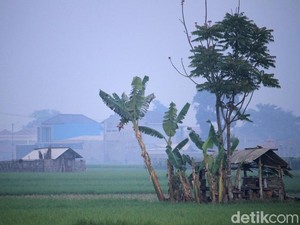 Bandung Raya Sepekan: Munculnya Fenomena Bandung Tiris