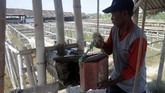 Para petani menggunakan air dari sumur, bukan dari laut untuk bahan baku pembuatan garam. (ANTARA FOTO/Yusuf Nugroho)