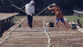 Klakah berisi air ini kemudian dijemur di bawah sinar matahari hingga mengkristal berbentuk garam yang siap dipanen. (ANTARA FOTO/Yusuf Nugroho)