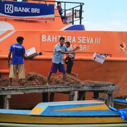 Bikin Cuan, Harga Saham BRI Rebound 3,66% dalam 1 Hari