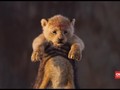 VIDEO: Lima Besar Box Office Hollywood Pekan Ini