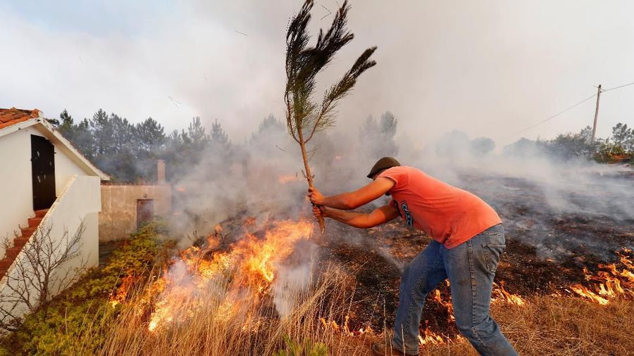 Sekitar 1800 petugas pemadam kebakaran dikerahkan untuk memadamkan api di kawasan Portugal tengah pada hari Minggu (22/07)