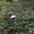 Mulai Membaik, Nilai Tukar Petani Juli 2019 Naik 0,29%