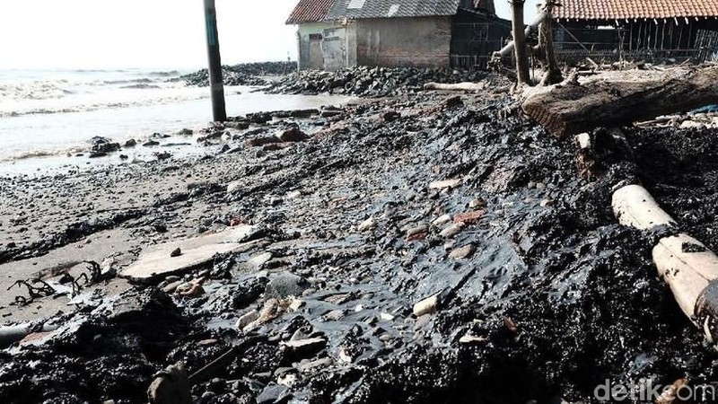 Pesisir pantai tersebut saat ini tercemar akibat tumpahan minyak mentah yang mengotori pantai yang berasal dari sumur minyak Pertamina Hulu energi ONWJ.