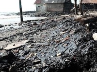 Karawang Tercemar Minyak, Pertamina Lakukan Tanggap Darurat