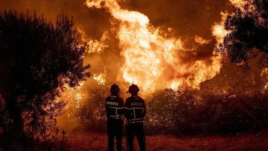 Sekitar 1800 petugas pemadam kebakaran dikerahkan untuk memadamkan api di kawasan Portugal tengah pada hari Minggu (22/07)