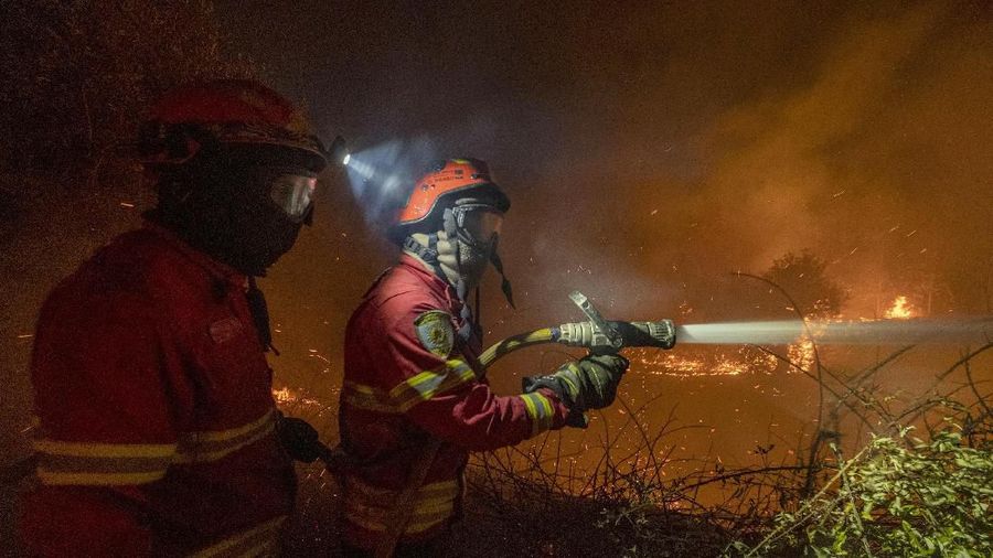 Sekitar 1800 petugas pemadam kebakaran dikerahkan untuk memadamkan api di kawasan Portugal tengah pada hari Minggu (22/07)