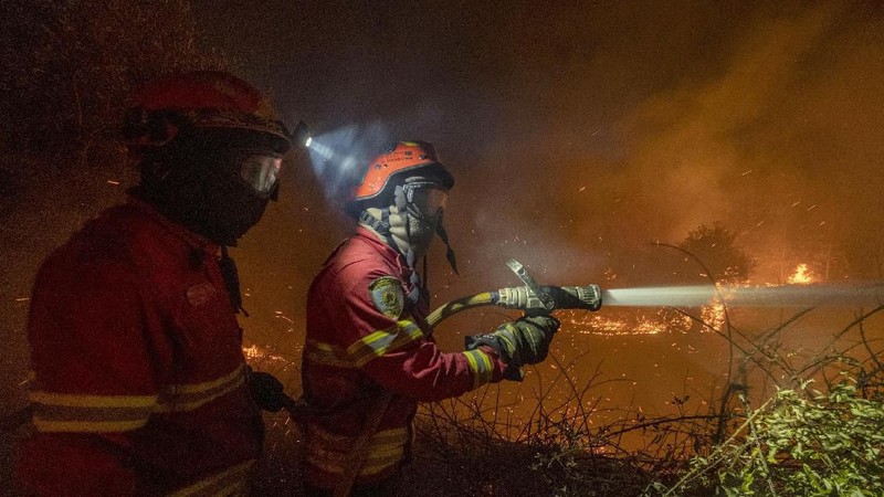 Sekitar 1800 petugas pemadam kebakaran dikerahkan untuk memadamkan api di kawasan Portugal tengah pada hari Minggu (22/07)