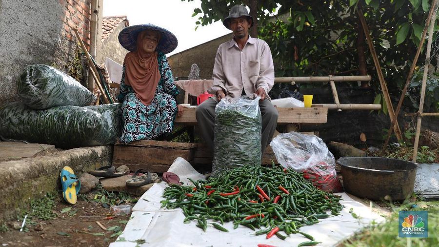 Upah Petani Kecil dan Miskin Terus