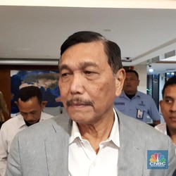Luhut Sebut SoftBank Bakal Suntik Startup Aruna