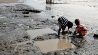 Tumpahan Minyak Di Laut Karawang, Ini Langkah Pertamina