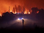 Penampakan Kebakaran Lahan Dahsyat, 1.800 Pemadam Dikerahkan
