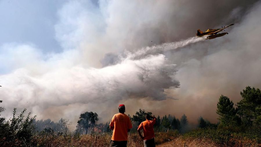 Sekitar 1800 petugas pemadam kebakaran dikerahkan untuk memadamkan api di kawasan Portugal tengah pada hari Minggu (22/07)