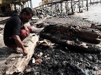 Pesisir Pantai Karawang Tercemar Tumpahan Minyak Pertamina