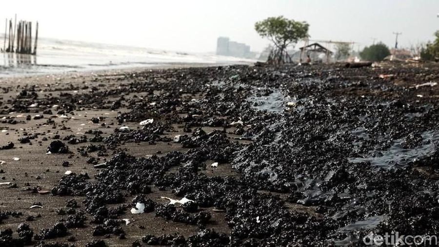 Pesisir pantai tersebut saat ini tercemar akibat tumpahan minyak mentah yang mengotori pantai yang berasal dari sumur minyak Pertamina Hulu energi ONWJ.
