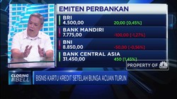 Menilik Kinerja Bisnis Kartu Kredit