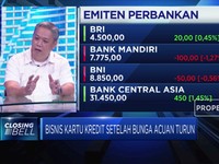 Menilik Kinerja Bisnis Kartu Kredit