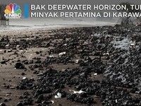 Insiden Kebocoran Minyak Pertamina Mirip Teluk Meksiko?