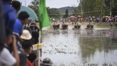 Ajang karapan kerbau ini berhadiah 3.000 baht (sekitar Rp1,3 juta). Kerbau yang menang karapan juga bisa dijual dengan harga lebih tinggi. (AFP Photo/Lillian Suwanrumpha)