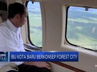 Forest City Jadi Konsep Ibu Kota Baru