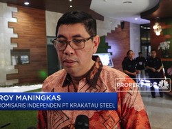 Proyek Blast Furnace "Dipaksakan", Komisaris KRAS Mundur