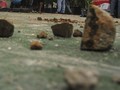 Massa FUIS Saling Lempar Batu dengan Banser NU di Solo