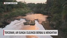 VIDEO: Tercemar, Air Sungai Cileungsi Berbau & Menghitam