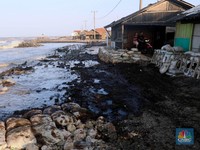 Tumpahan Minyak di Laut Jawa, Ternyata Ini Sebabnya!
