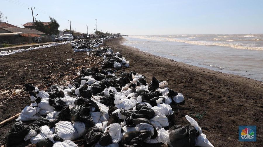 Akibat tercemarnya laut, sebagian nelayan memilih tidak melaut dan memilih sebagai buruh angkut pasir yang terkontaminasi minyak.