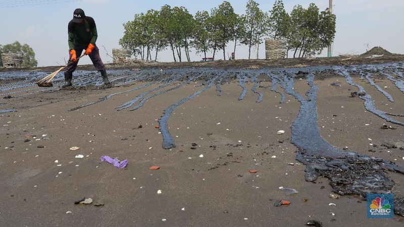 Akibat adanya tumpahan minyak Pertamina di utara laut Karawang membuat hasil tangkapan ikan nelayan di kawasan tersebut menurun.
