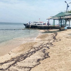 BMKG Peringatkan Gelombang Setinggi 6 Meter di Selatan Banten