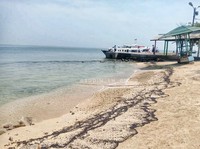 BMKG Peringatkan Gelombang Setinggi 6 Meter di Selatan Banten